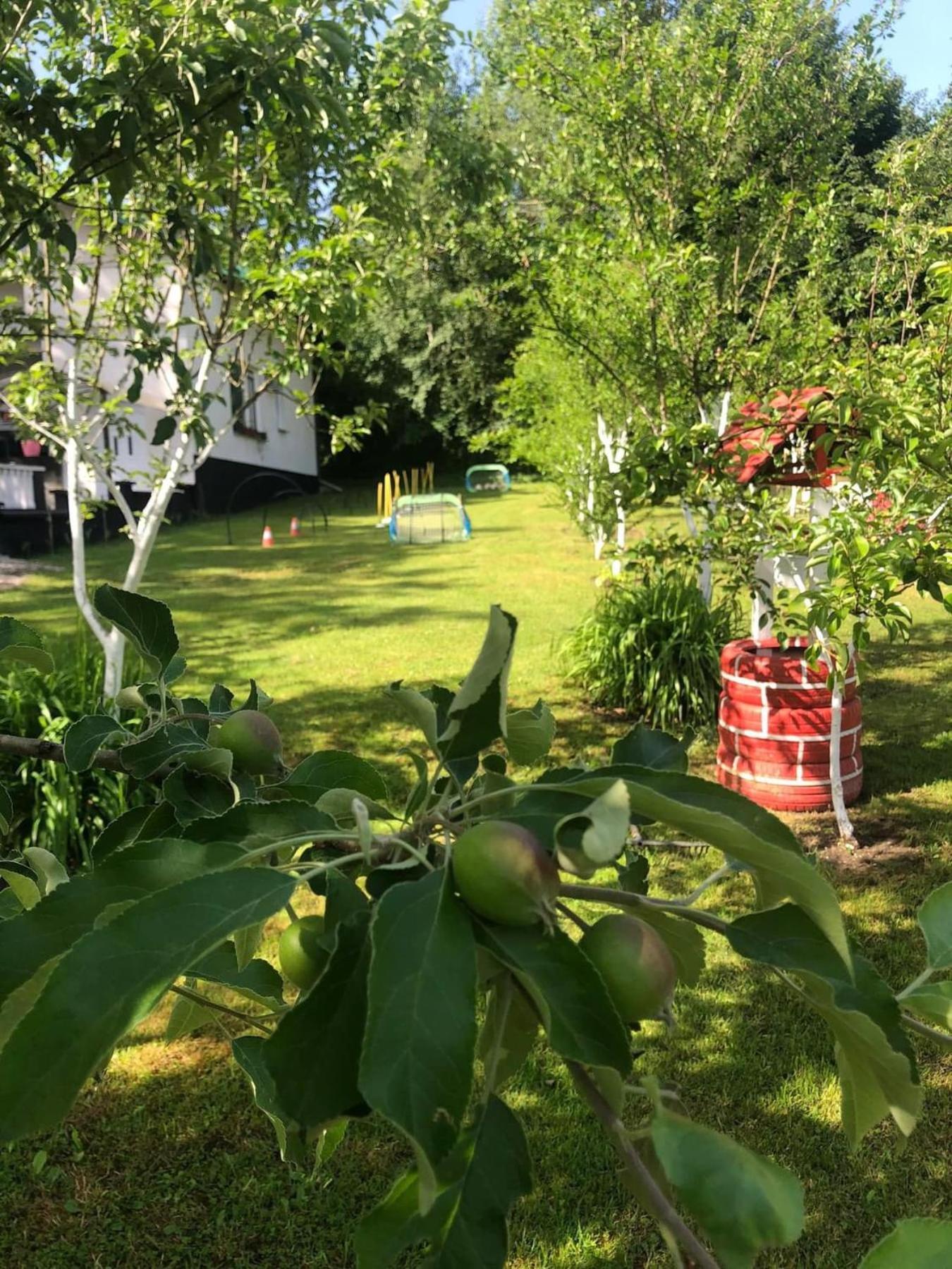 Villa Kuca Za Odmor Aiman