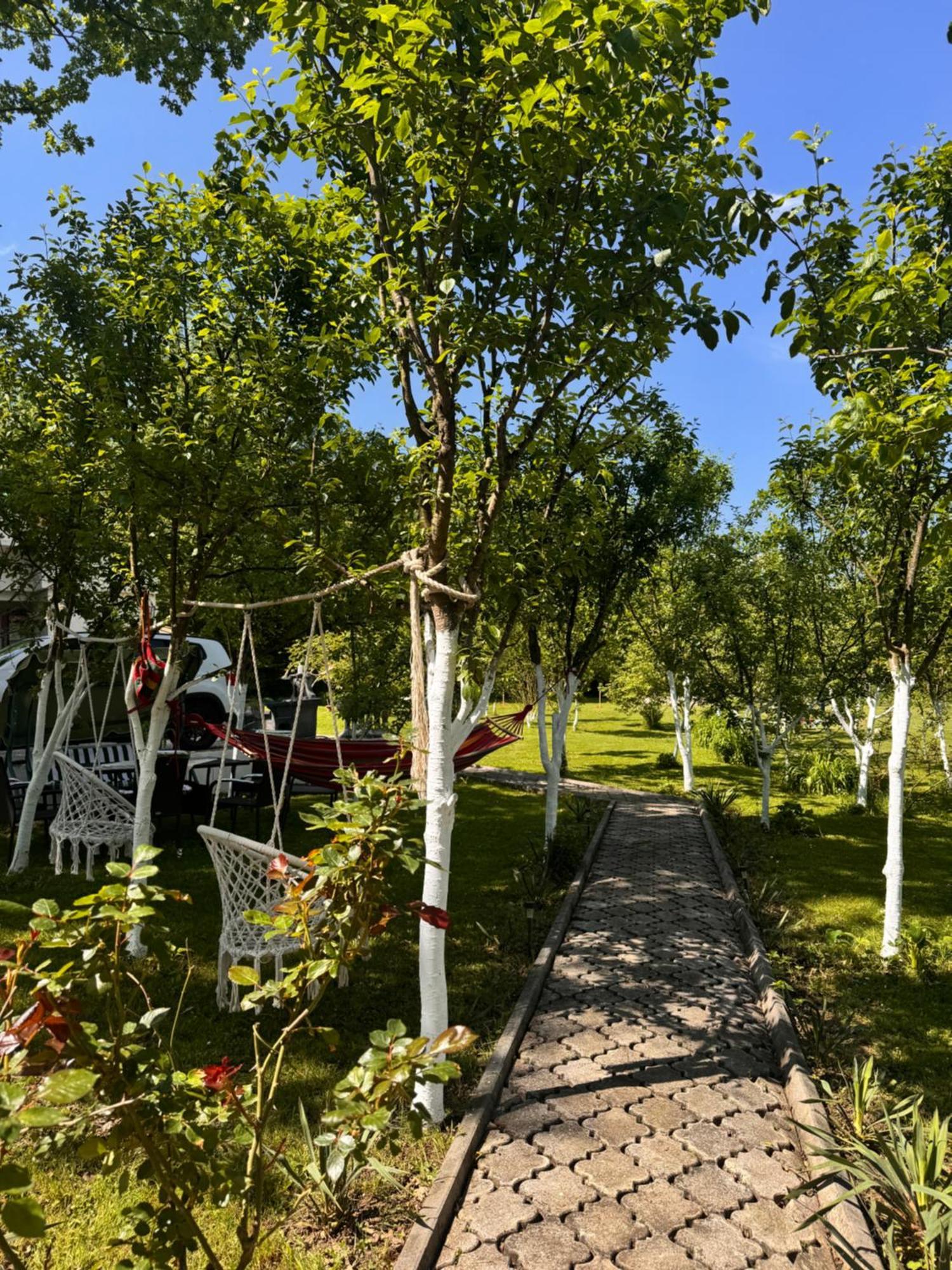 Kuca Za Odmor Aiman Villa